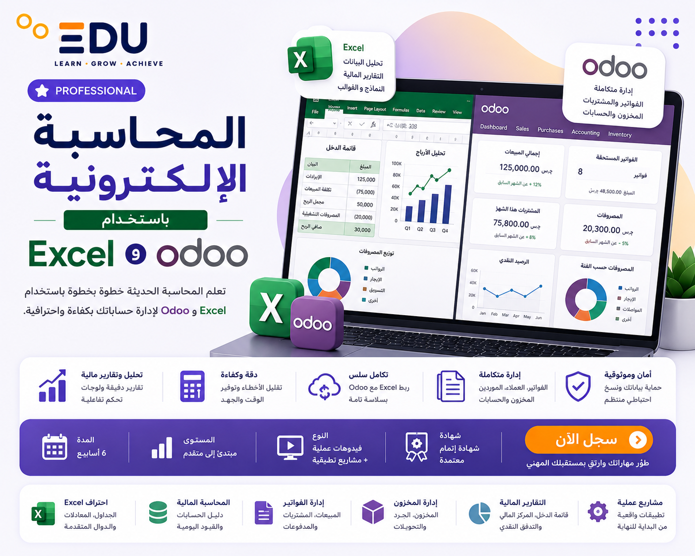 المحاسبة الإلكترونية باستخدام Excel وOdoo
